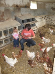 Feeding Chickens2